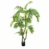 Florabelle - Parlour Palm Twisted Trunk 150cm 1 Florabelle - Parlour Palm Twisted Trunk 150cm -Cores Da Terra Shop 101566 Large