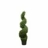 Florabelle - Rosemary Spiral Tree 1.2m