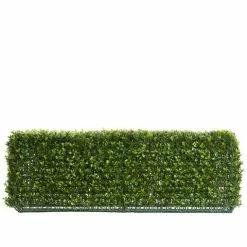 Florabelle - Boxwood Hedge 25x95cm