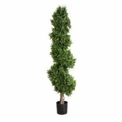 Florabelle - Boxwood Spiral Tree 190cm