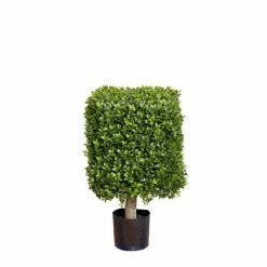Florabelle - Boxwood Square Top 55cm