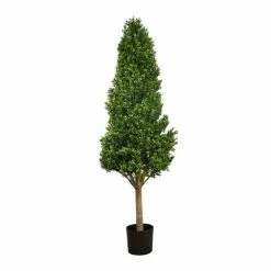 Florabelle - Boxwood Tower Tree 175cm