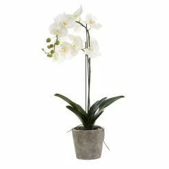 Florabelle - Orchid In Clay Pot White 84cm
