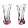 Nachtmann - Spring Vase Rose Set 2pce -Cores Da Terra Shop 118743 Large