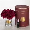 Cote Noire - Vase Twelve Carmine Red Roses Burgundy Box -Cores Da Terra Shop 447181 Large