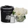 Cote Noire - White Hydrangeas Clear Vase W/ Spray Set 3pce -Cores Da Terra Shop 589104 Large